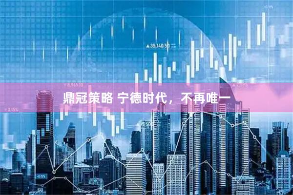 鼎冠策略 宁德时代，不再唯一