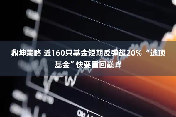 鼎坤策略 近160只基金短期反弹超20% “逃顶基金”快要重回巅峰